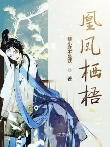 今朝凤栖梧,今朝盛世华章