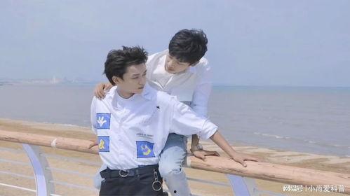 哥哥你别跑,一场亲情与成长的追逐之旅